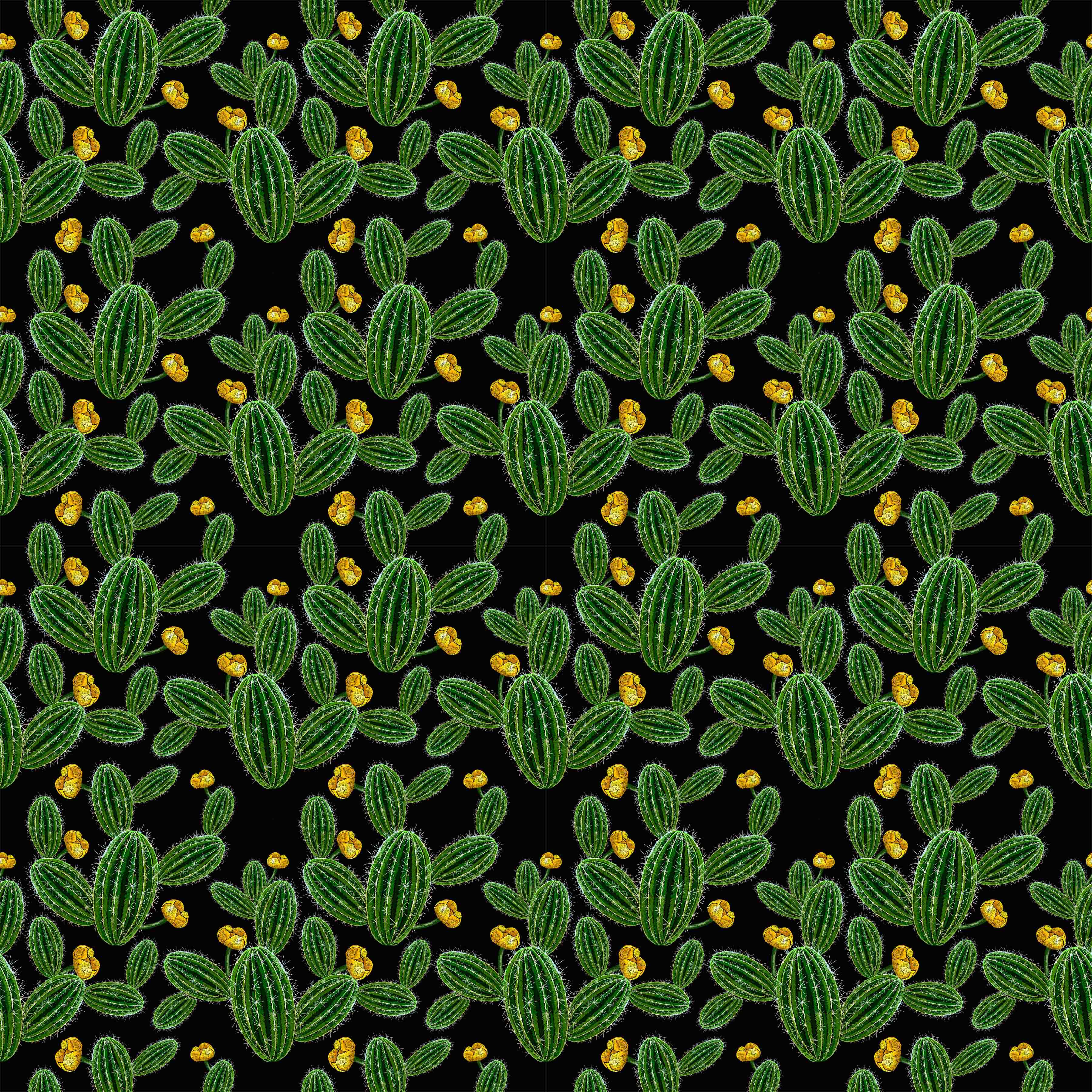 Cactus Black Vinyl