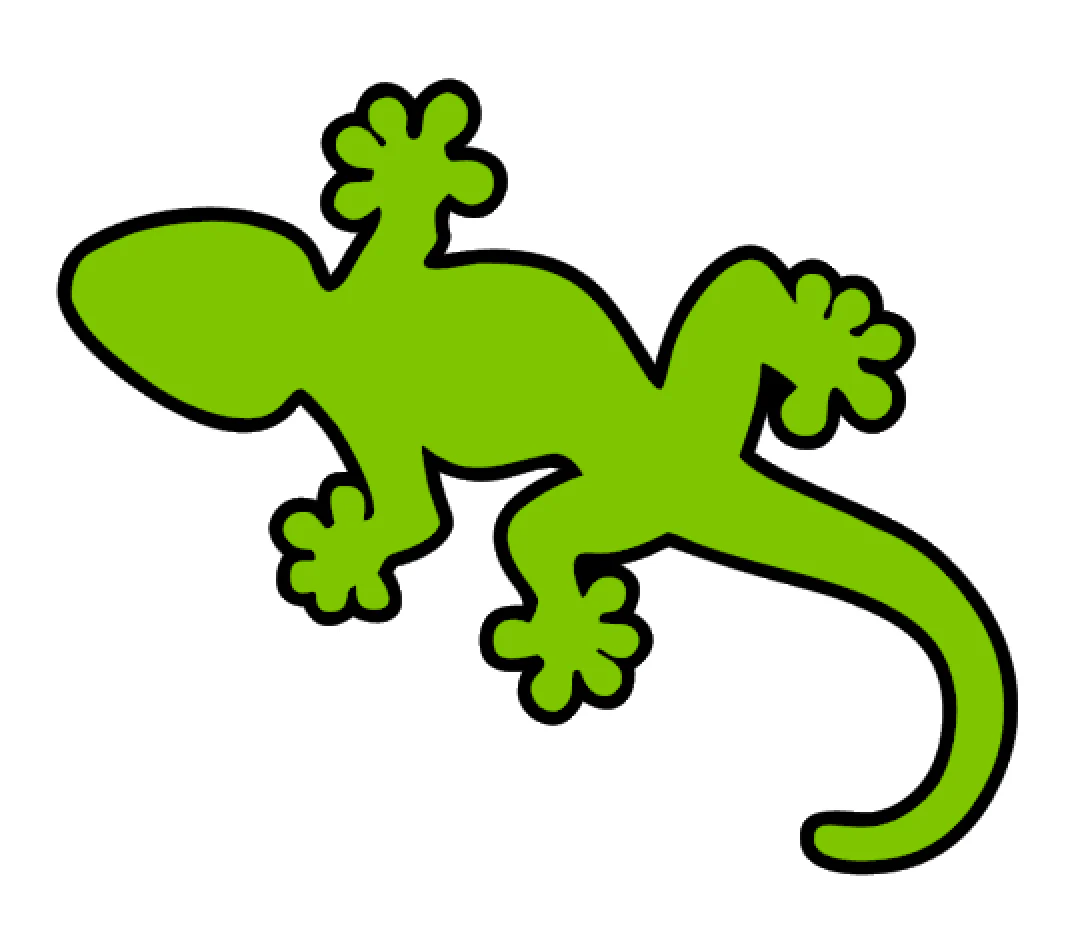 Gecko Acrylic Blank - Image 2