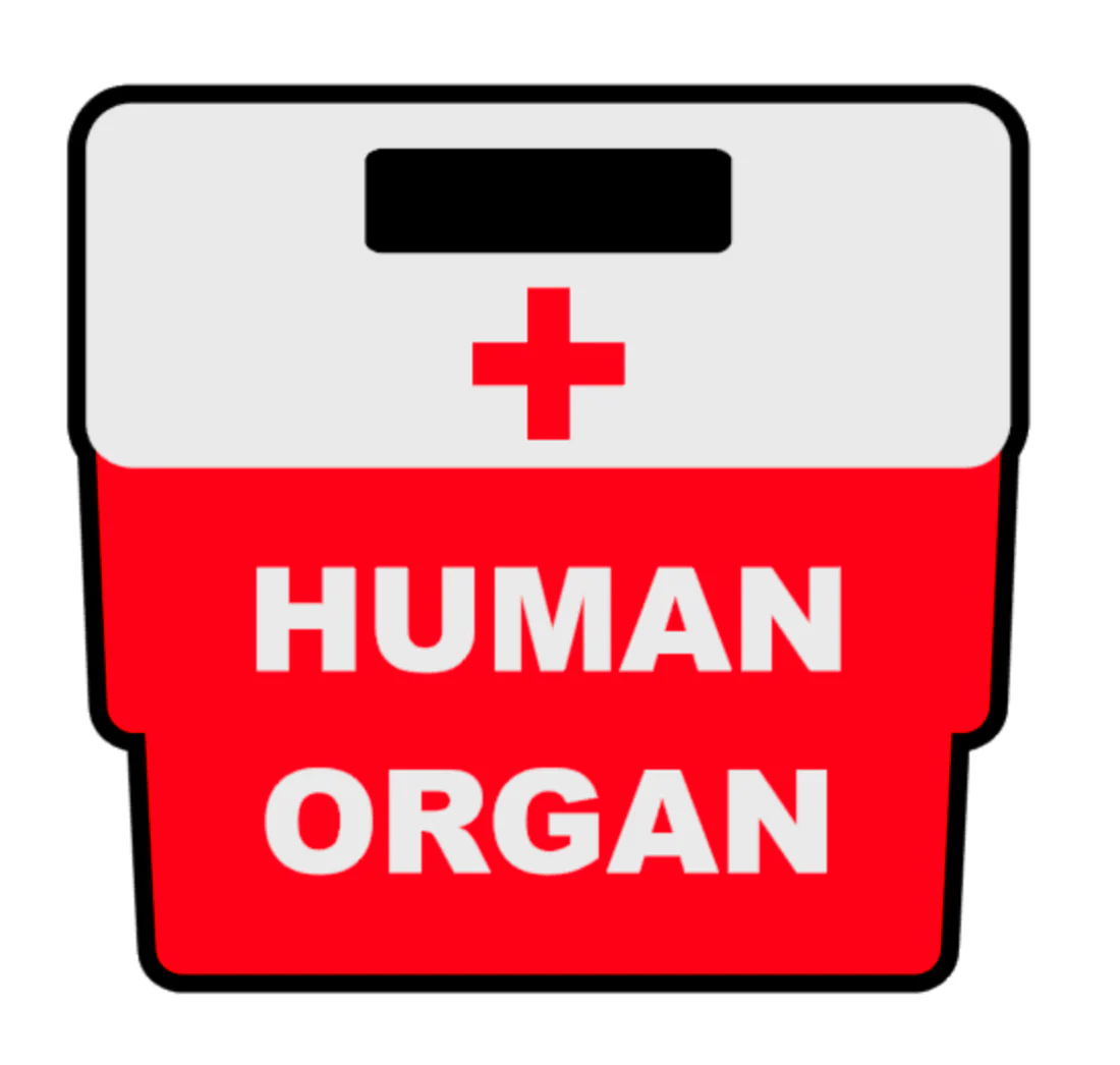 Organ Transplant Carrier Acrylic Blank - Image 2