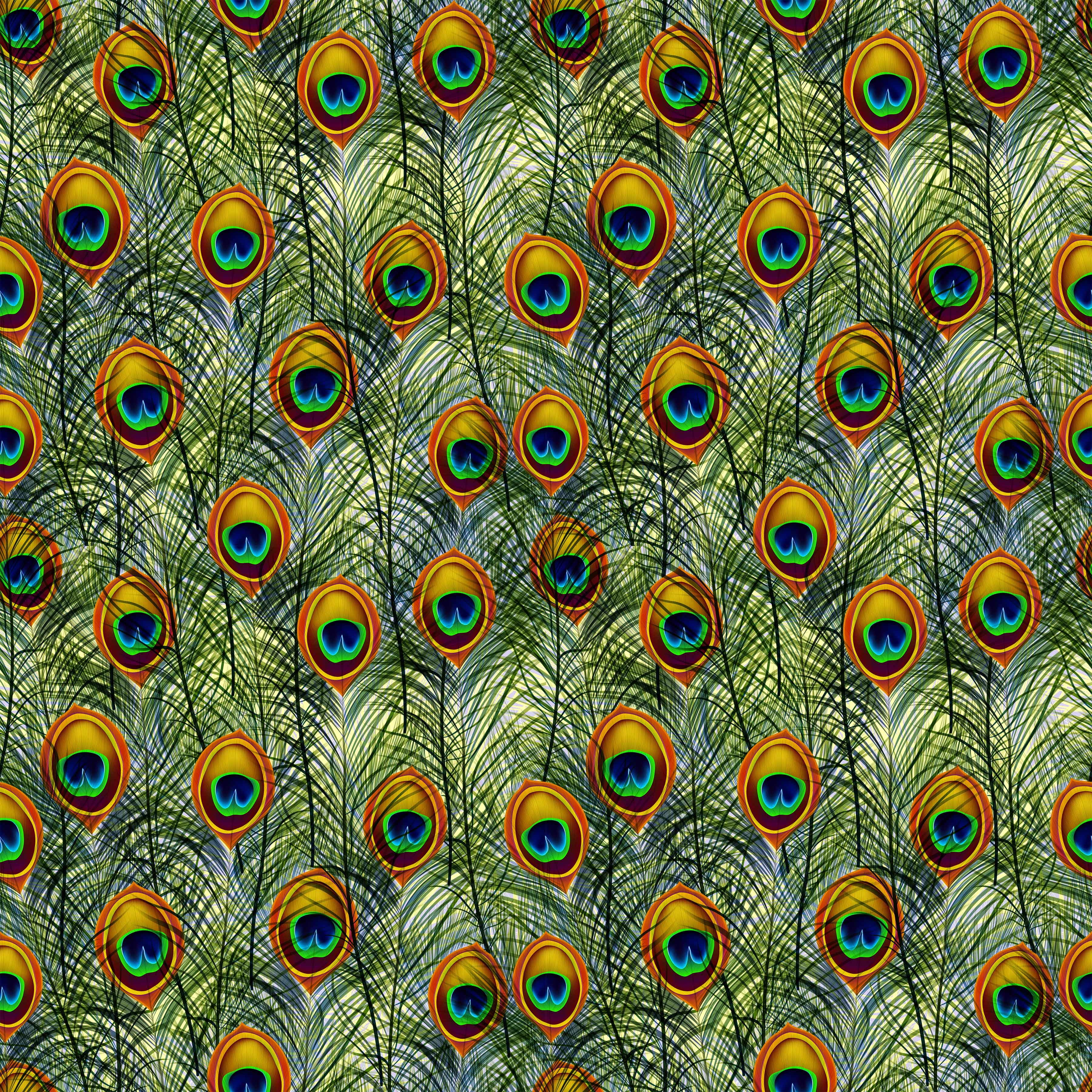Peacock Feathers Vinyl