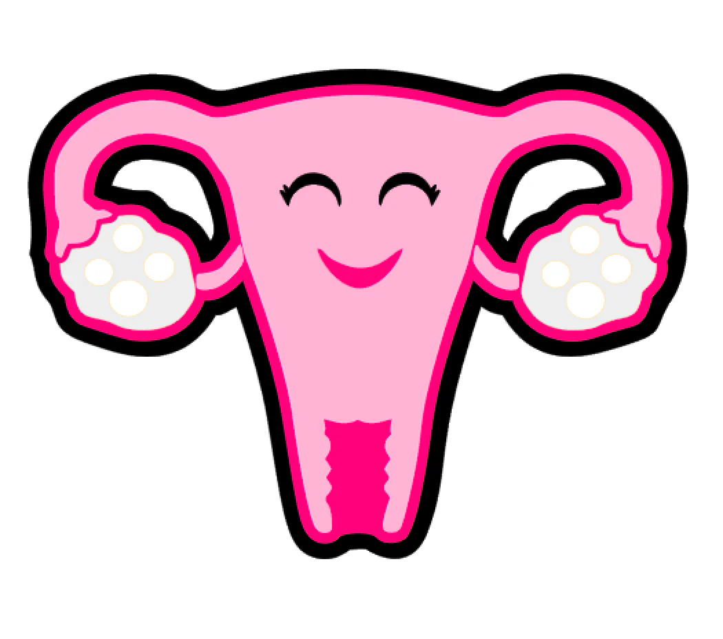 Uterus Acrylic Blank - Image 2